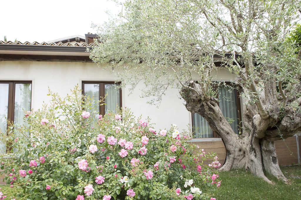 Alloggio per agriturismo Il Granaio Hotel&spa *